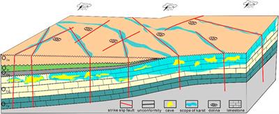 Characteristics of strike-slip fault-related reservoirs and the significance for hydrocarbon accumulation in the central Tarim Basin: Insights from the modern karst model